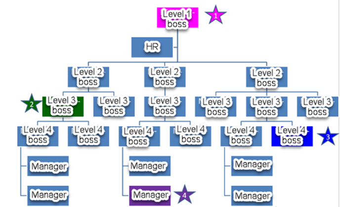 overview of roles 1