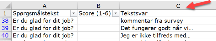 excel survey